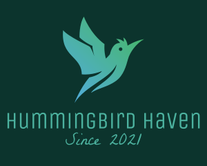 Flying Hummingbird Aviary logo design