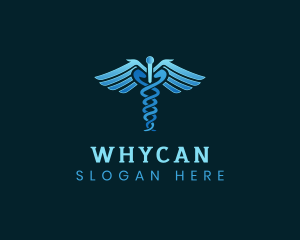 Medicine Wings Caduceus Logo