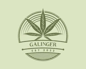 Cannabis - Marijuana Circle Badge logo design