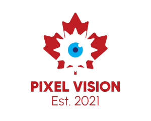 Canadian Tech Surveillance  logo design