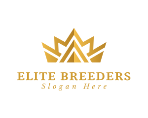 Premium Gold Crown logo design