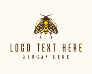 Wings - Vintage Moth Insect logo design