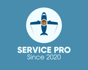 Air Courier Delivery Service logo design