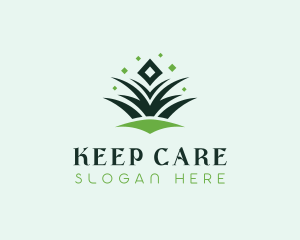 Diamond Grass Lawn Care logo design