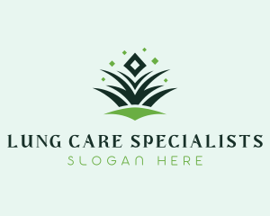 Diamond Grass Lawn Care logo design