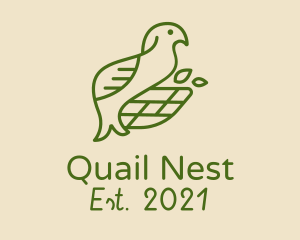 Green Bird Nest  logo design