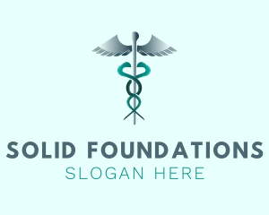 Health Care Provider - Medical Caduceus Staff logo design