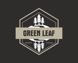 Evergreen - Environment Pine Tree logo design