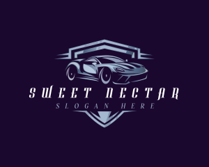 Racing Car Auto Detailing logo design