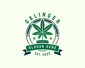 Plant - Marijuana Leaf Plant logo design