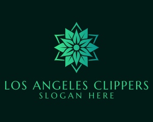 Natural Leaves Spa Logo