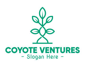 Vine Plant Leaves logo design