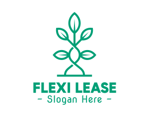 Vine Plant Leaves logo design