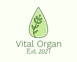 Organic Essential Oil logo design