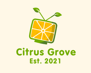 Citrus - Citrus Fruit Television logo design