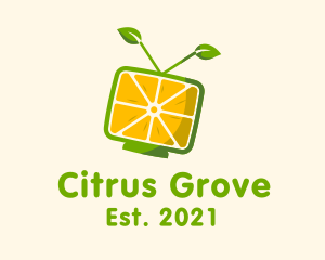 Citrus Fruit Television logo design