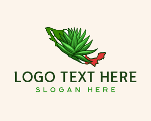 Botanical - Mexico Plant Botanical logo design