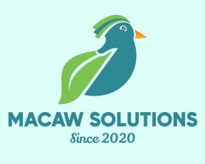 Macaw - Eco Leaf Bird logo design