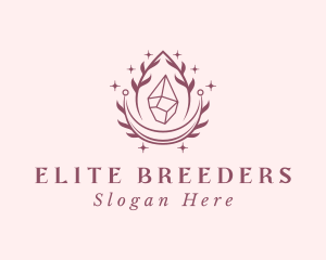 Crystal Gemstone Accessory logo design