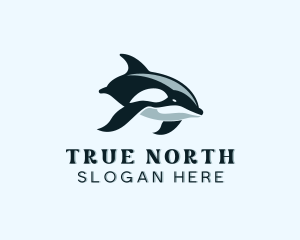 Canada - Orca Whale Animal logo design