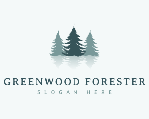 Green Pine Tree Reflection logo design