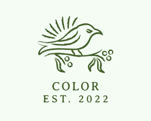 Passerine - Finch Bird Drawing logo design