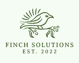 Finch - Finch Bird Drawing logo design