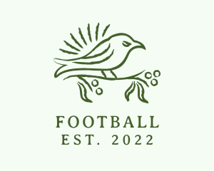 Bird - Finch Bird Drawing logo design