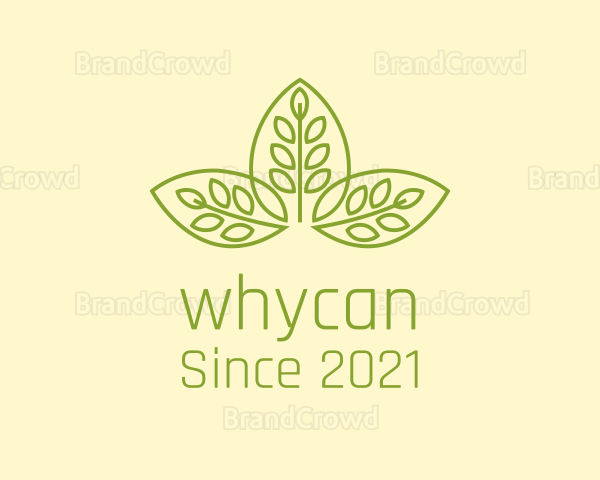 Symmetrical Leaf Pattern Logo