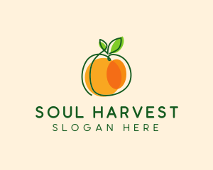 Sweet Orange Fruit logo design