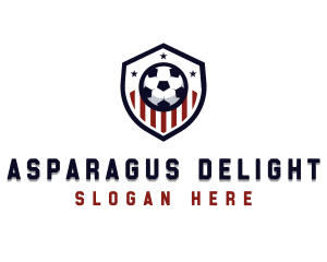 Soccer Ball Shield logo design