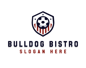 Soccer Ball Shield logo design