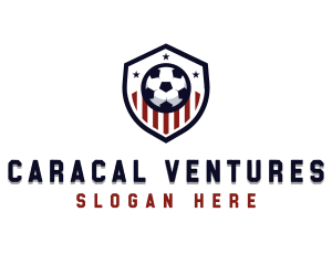 Soccer Ball Shield logo design