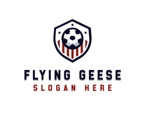 Soccer Ball Shield logo design