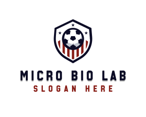 Soccer Ball Shield logo design