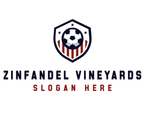 Soccer Ball Shield logo design