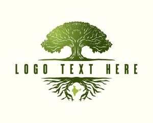 Indian Banyan Tree Logo