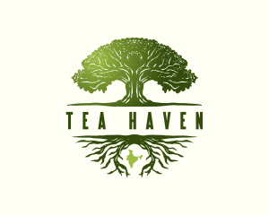 Indian Banyan Tree logo design