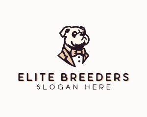 Bowtie Suit Dog logo design