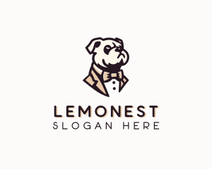 Suit - Bowtie Suit Dog logo design