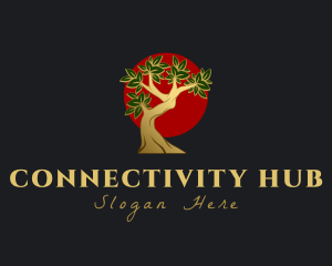 Decor - Bonsai Tree Plant logo design