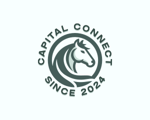 Horse Equine Financing logo design