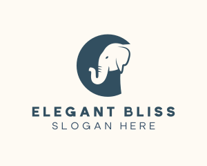 Reserve - Wild Elephant Circus logo design