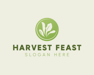 Eco Farm Harvest logo design