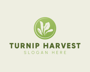 Eco Farm Harvest logo design