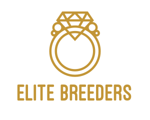 Jewelry Ring Outline logo design