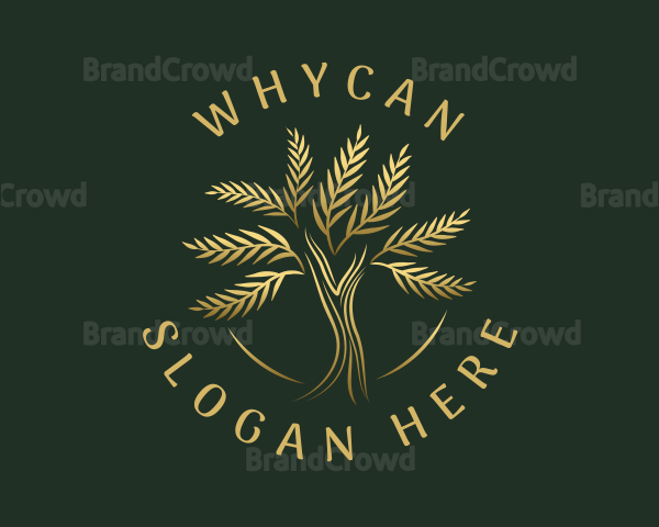 Eco Tree Plant Logo