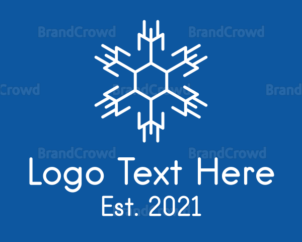 Hexagon Winter Snowflake Logo