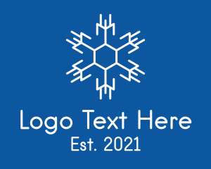 Antarctica - Hexagon Winter Snowflake logo design