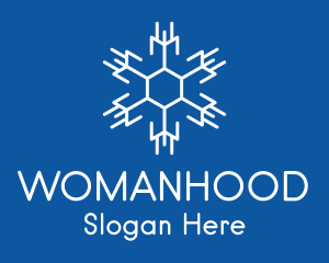 Hexagon Winter Snowflake  Logo